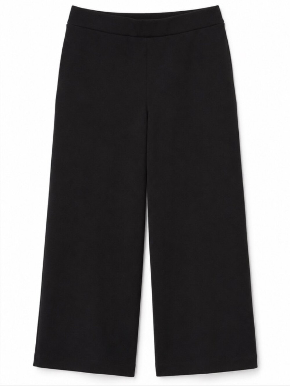Ann Taylor Black Wide-Leg Crop Pull-On Pants Large